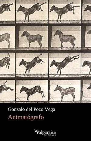 ANIMATÓGRAFO | 9788418082399 | DEL POZO VEGA, GONZALO | Llibreria La Gralla | Librería online de Granollers