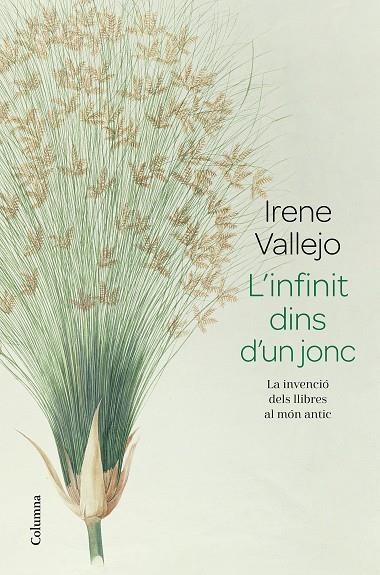 INFINIT DINS D'UN JONC, L' | 9788466426947 | VALLEJO, IRENE | Llibreria La Gralla | Librería online de Granollers