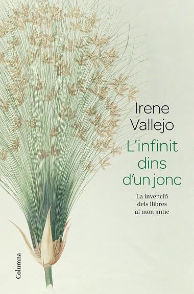 INFINIT DINS D'UN JONC, L' | 9788466426947 | VALLEJO, IRENE | Llibreria La Gralla | Llibreria online de Granollers