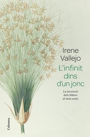 INFINIT DINS D'UN JONC, L' | 9788466426947 | VALLEJO, IRENE | Llibreria La Gralla | Llibreria online de Granollers