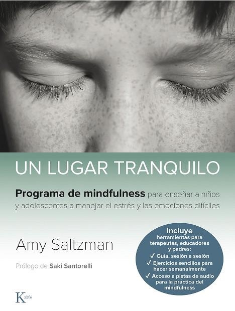 UN LUGAR TRANQUILO | 9788499887562 | SALTZMAN, AMY | Llibreria La Gralla | Librería online de Granollers