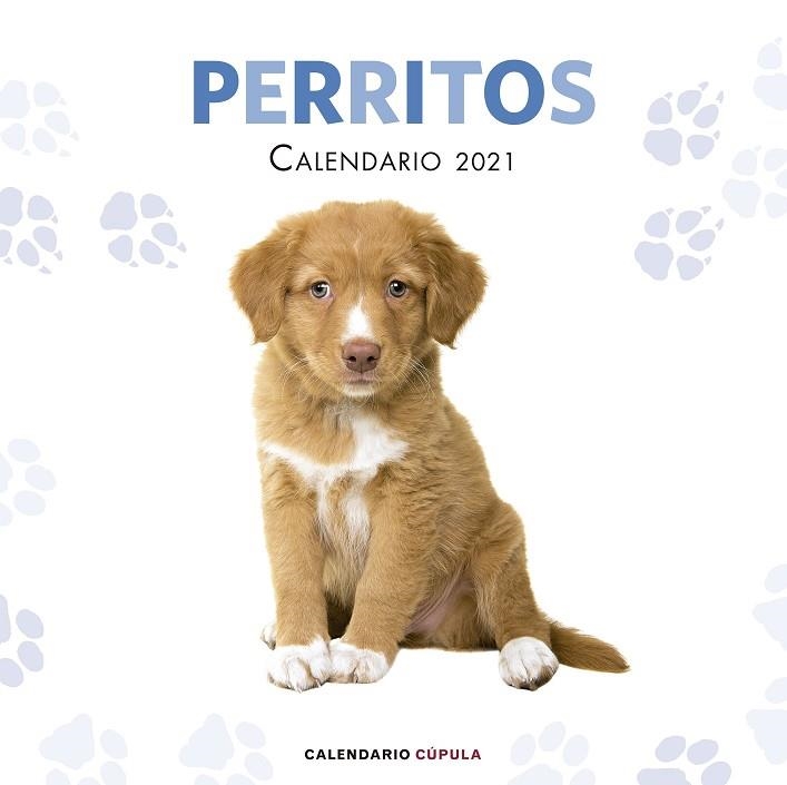 CALENDARIO PERRITOS 2021 | 9788448027766 | AA. VV. | Llibreria La Gralla | Llibreria online de Granollers