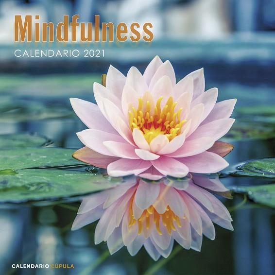 CALENDARIO MINDFULNESS 2021 | 9788448027735 | AA. VV. | Llibreria La Gralla | Librería online de Granollers