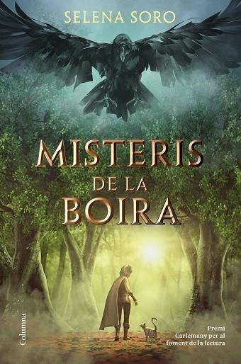 MISTERIS DE LA BOIRA | 9788466426619 | SORO, SELENA | Llibreria La Gralla | Llibreria online de Granollers