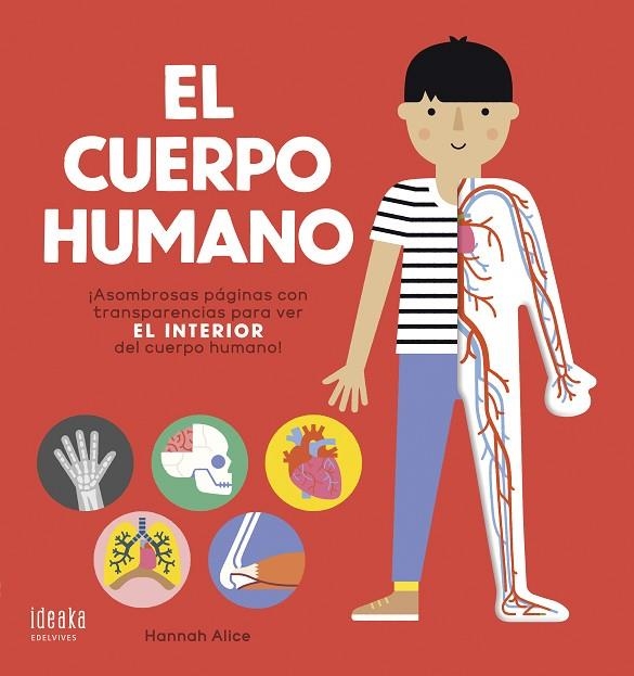 CUERPO HUMANO, EL | 9788414022092 | NOSY CROW | Llibreria La Gralla | Librería online de Granollers
