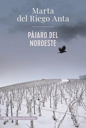 PÁJARO DEL NOROESTE  | 9788413620558 | RIEGO, MARTA DEL | Llibreria La Gralla | Llibreria online de Granollers