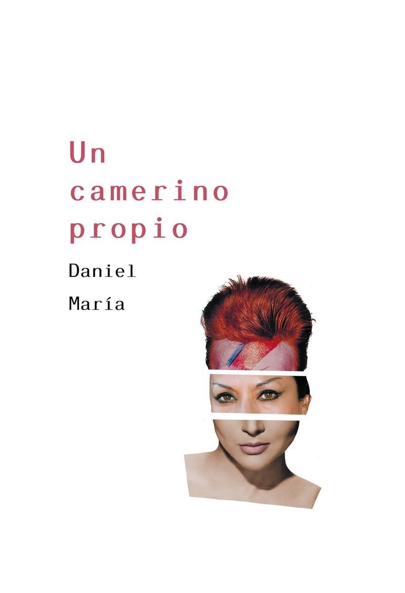 UN CAMERINO PROPIO | 9788417319991 | MARÍA DANIEL | Llibreria La Gralla | Llibreria online de Granollers