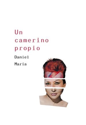 UN CAMERINO PROPIO | 9788417319991 | MARÍA DANIEL | Llibreria La Gralla | Librería online de Granollers