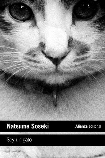 SOY UN GATO | 9788413620718 | SOSEKI, NATSUME | Llibreria La Gralla | Librería online de Granollers