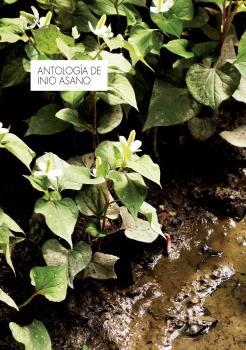 ANTOLOGIA DE INIO ASANO | 9788467942552 | ASANO, INIO  | Llibreria La Gralla | Librería online de Granollers
