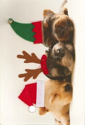 POSTAL NADAL HALLMARK 780 | 3045670041905 | 74190 | Llibreria La Gralla | Librería online de Granollers