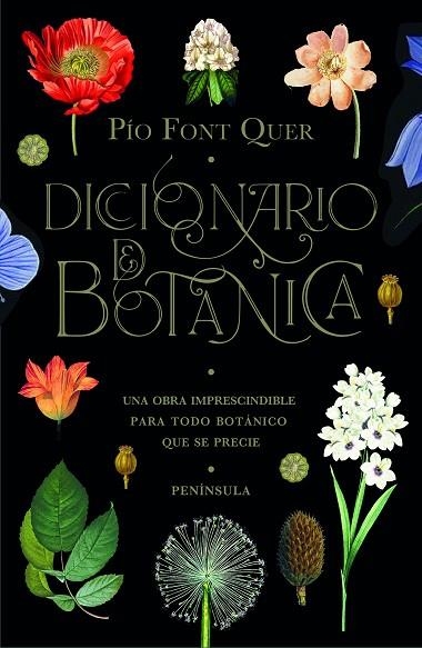DICCIONARIO DE BOTÁNICA | 9788499429076 | FONT QUER, PÍO | Llibreria La Gralla | Librería online de Granollers