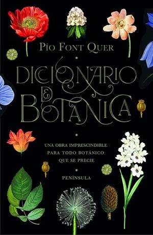DICCIONARIO DE BOTÁNICA | 9788499429076 | FONT QUER, PÍO | Llibreria La Gralla | Llibreria online de Granollers