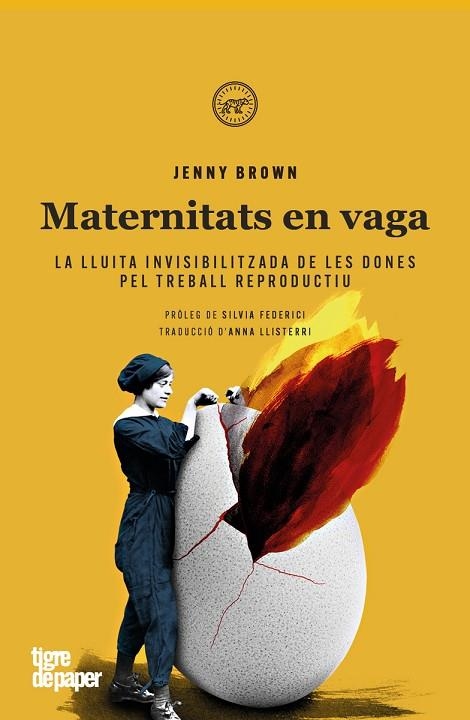 MATERNITATS EN VAGA - CAT | 9788416855865 | BROWN, JENNY | Llibreria La Gralla | Llibreria online de Granollers