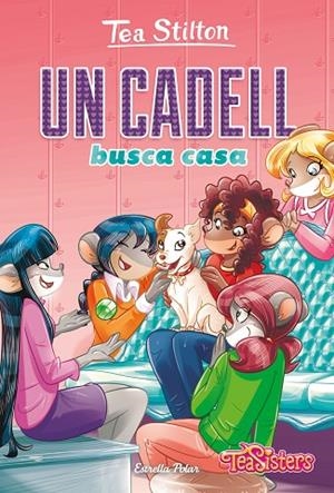 UN CADELL BUSCA CASA | 9788418134852 | STILTON, TEA | Llibreria La Gralla | Librería online de Granollers