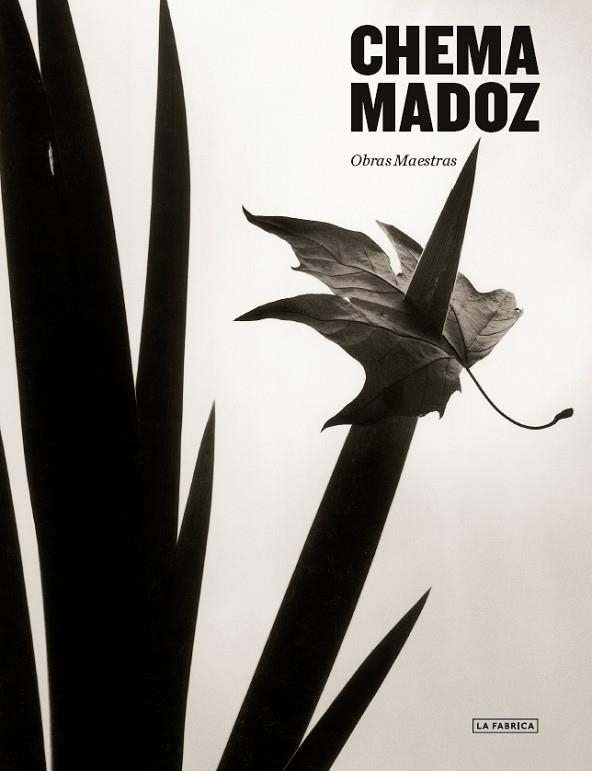 CHEMA MADOZ. | 9788417769673 | MADOZ, CHEMA. | Llibreria La Gralla | Llibreria online de Granollers