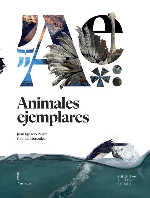 ANIMALES EJEMPLARES | 9788412159899 | PÉREZ IGLESIAS, JUAN IGNACIO | Llibreria La Gralla | Llibreria online de Granollers