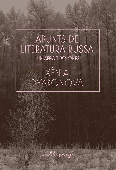 APUNTS DE LITERATURA RUSSA I UN AFEGIT POLONÈS | 9788412212358 | DYAKONOVA, XÈNIA | Llibreria La Gralla | Llibreria online de Granollers