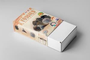 COL·LECCIO DE FÒSSILS | 8680201379628 | HEMISFERIO SUR | Llibreria La Gralla | Llibreria online de Granollers