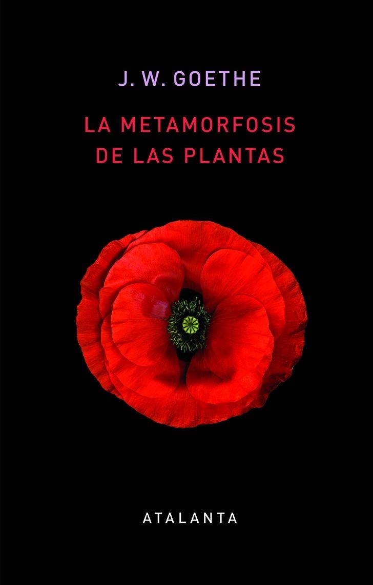 METAMORFOSIS DE LAS PLANTAS, LAS | 9788412074345 | GOETHE, JOHANN WOLFGANG | Llibreria La Gralla | Llibreria online de Granollers