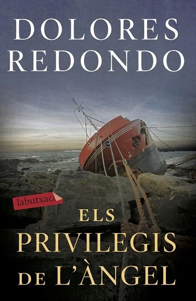 ELS PRIVILEGIS DE L'ÀNGEL | 9788417423971 | REDONDO, DOLORES | Llibreria La Gralla | Librería online de Granollers