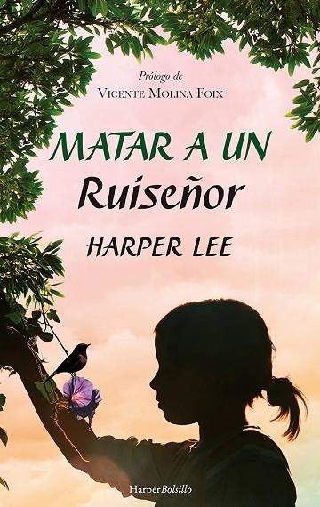 MATAR A UN RUISEÑOR | 9788417216948 | LEE, HARPER | Llibreria La Gralla | Llibreria online de Granollers