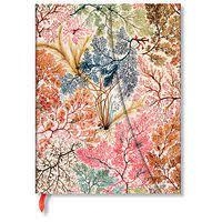 LLIBRETA PAPERBLANKS ANEMONE MINI LINED | 9781439772294 | PB7229-4 | Llibreria La Gralla | Librería online de Granollers