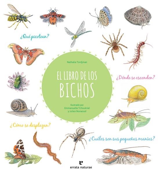 LIBRO DE LOS BICHOS, EL  | 9788417800413 | VVAA | Llibreria La Gralla | Librería online de Granollers