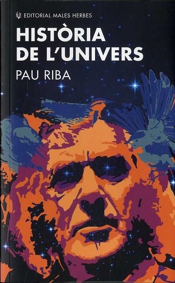HISTÒRIA DE L'UNIVERS | 9788412216776 | RIBA, PAU | Llibreria La Gralla | Librería online de Granollers