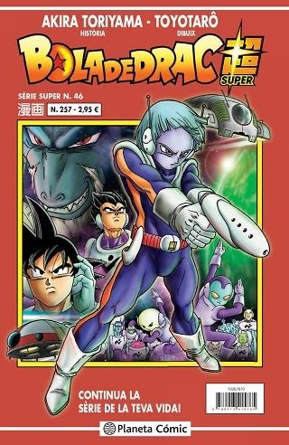 BOLA DE DRAC SERIE VERMELLA Nº 257 | 9788413415765 | TORIYAMA, AKIRA | Llibreria La Gralla | Llibreria online de Granollers