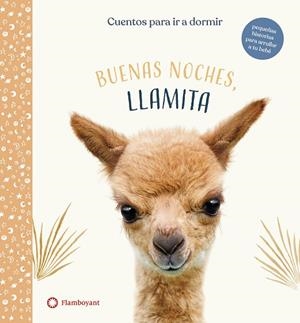 BUENAS NOCHES, LLAMITA | 9788417749941 | WOOD, AMANDA | Llibreria La Gralla | Llibreria online de Granollers