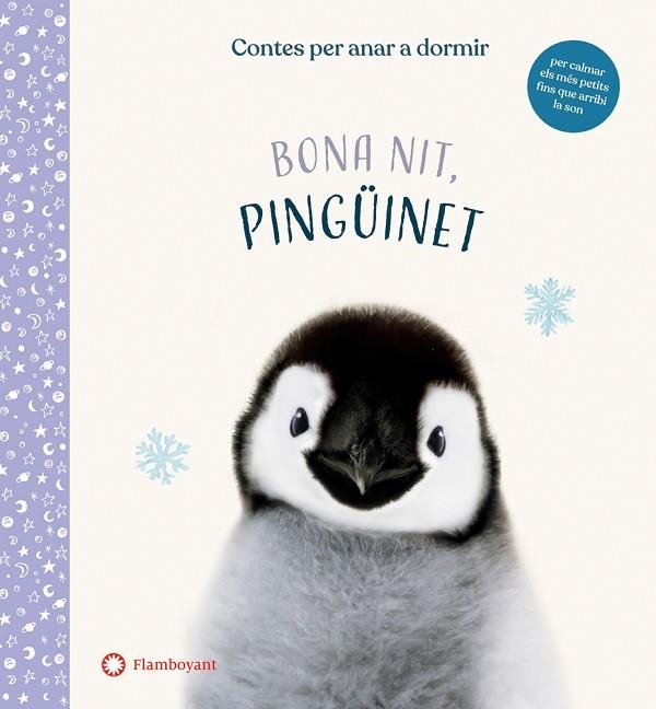 BONA NIT, PINGÜINET | 9788417749972 | WOOD, AMANDA | Llibreria La Gralla | Llibreria online de Granollers