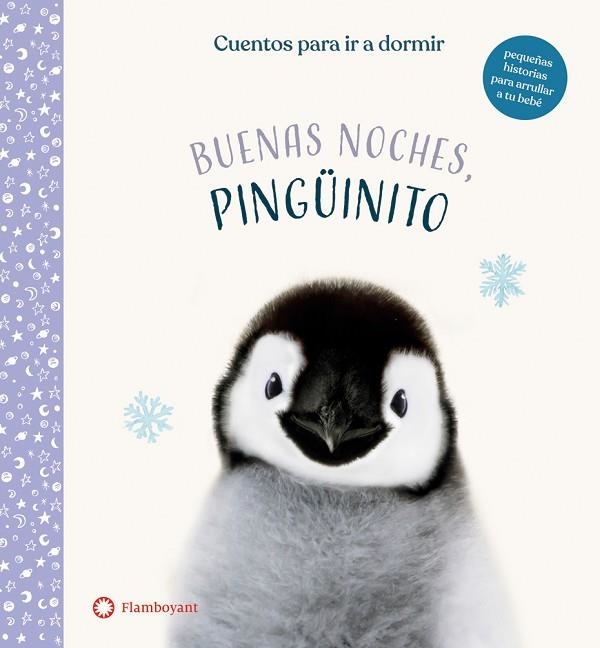 BUENAS NOCHES, PINGÜINITO | 9788417749965 | WOOD, AMANDA | Llibreria La Gralla | Llibreria online de Granollers