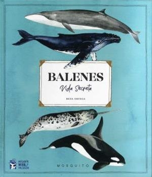BALENES VIDA SECRETA | 9788412247954 | ORTEGA, RENA | Llibreria La Gralla | Llibreria online de Granollers