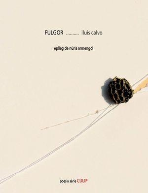 FULGOR | 9788481289862 | CALVO, LLUÍS | Llibreria La Gralla | Llibreria online de Granollers