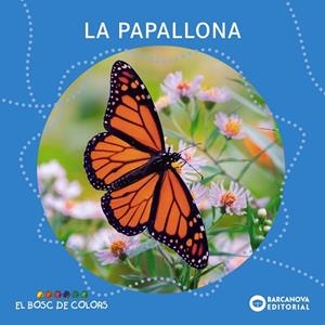 PAPALLONA, LA  | 9788448952846 | VVAA | Llibreria La Gralla | Librería online de Granollers