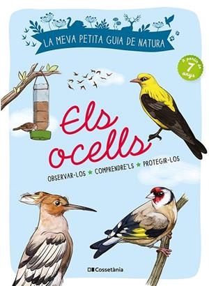 OCELLS, ELS | 9788413560359 | LUCHESI, MICHEL | Llibreria La Gralla | Librería online de Granollers