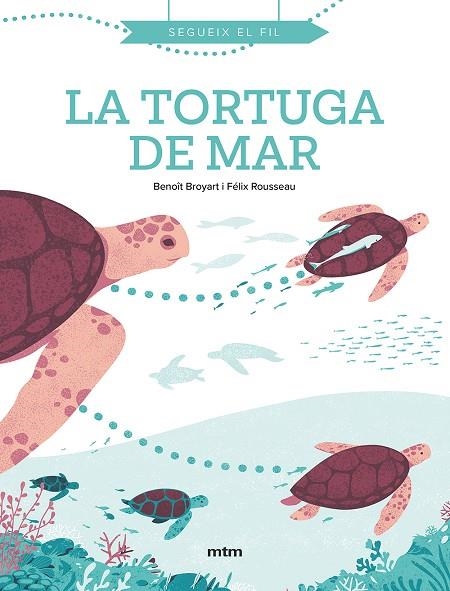 TORTUGA DE MAR, LA | 9788417165574 | BROYART, BENOÎT | Llibreria La Gralla | Llibreria online de Granollers