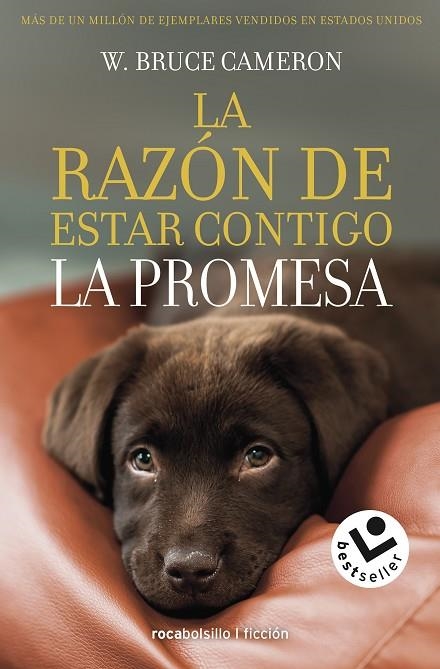 RAZÓN DE ESTAR CONTIGO, LA. LA PROMESA (BOLSILLO) | 9788417821432 | CAMERON, W. BRUCE | Llibreria La Gralla | Llibreria online de Granollers