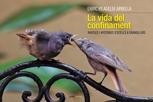 VIDA DEL CONFINAMENT, LA | 9788412175042 | VILAGELIU, ENRIC | Llibreria La Gralla | Librería online de Granollers