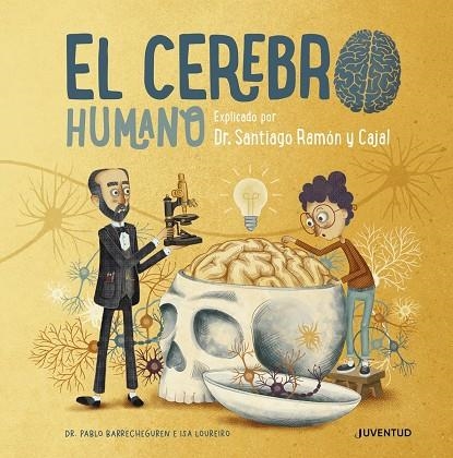 EL CEREBRO HUMANO | 9788426147110 | BARRECHEGUREN, PABLO | Llibreria La Gralla | Librería online de Granollers