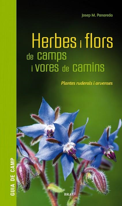 HERBES I FLORS DE CAMPS I VORES DE CAMINS | 9788418096082 | PANAREDA CLOPÉS, JOSEP M | Llibreria La Gralla | Llibreria online de Granollers