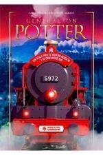 GENERACION POTTER UN VIAJE POR EL MUNDO MAGICO Y SU COMUNIDAD FAN | 9788417649722 | HERRERO SAIDA ; ARRANZ BEATRIZ | Llibreria La Gralla | Librería online de Granollers