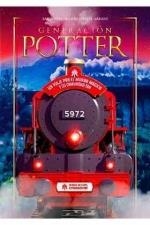 GENERACION POTTER UN VIAJE POR EL MUNDO MAGICO Y SU COMUNIDAD FAN | 9788417649722 | HERRERO SAIDA ; ARRANZ BEATRIZ | Llibreria La Gralla | Llibreria online de Granollers