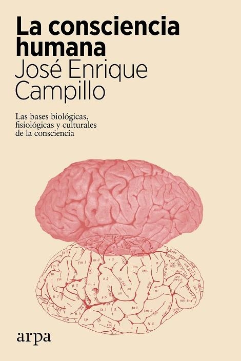 CONSCIENCIA HUMANA, LA | 9788417623722 | CAMPILLO, JOSÉ ENRIQUE | Llibreria La Gralla | Llibreria online de Granollers