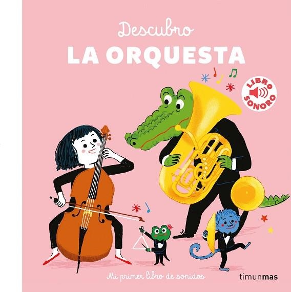 DESCUBRO LA ORQUESTA | 9788408236405 | ROEDERER, CHARLOTTE | Llibreria La Gralla | Llibreria online de Granollers