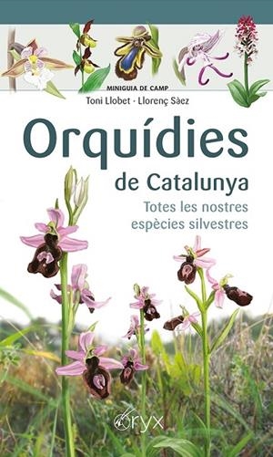 ORQUÍDIES DE CATALUNYA | 9788413560403 | SÀEZ GOÑALONS, LLORENÇ; LLOBET FRANÇOIS, TONI | Llibreria La Gralla | Librería online de Granollers