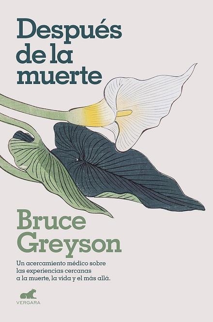 DESPUÉS DE LA MUERTE | 9788418045578 | GREYSON, M. D., BRUCE | Llibreria La Gralla | Llibreria online de Granollers