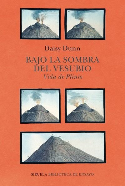 BAJO LA SOMBRA DEL VESUBIO | 9788418708459 | DUNN, DAISY | Llibreria La Gralla | Llibreria online de Granollers