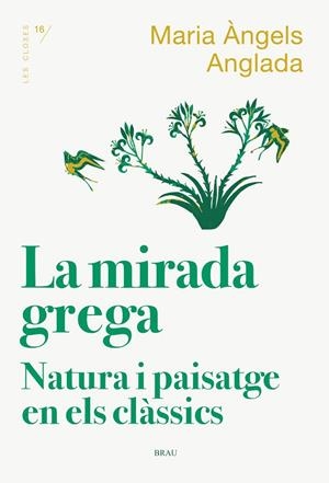 MIRADA GREGA, LA | 9788418096167 | ANGLADA I D'ABADAL, MARIA ÀNGELS | Llibreria La Gralla | Llibreria online de Granollers